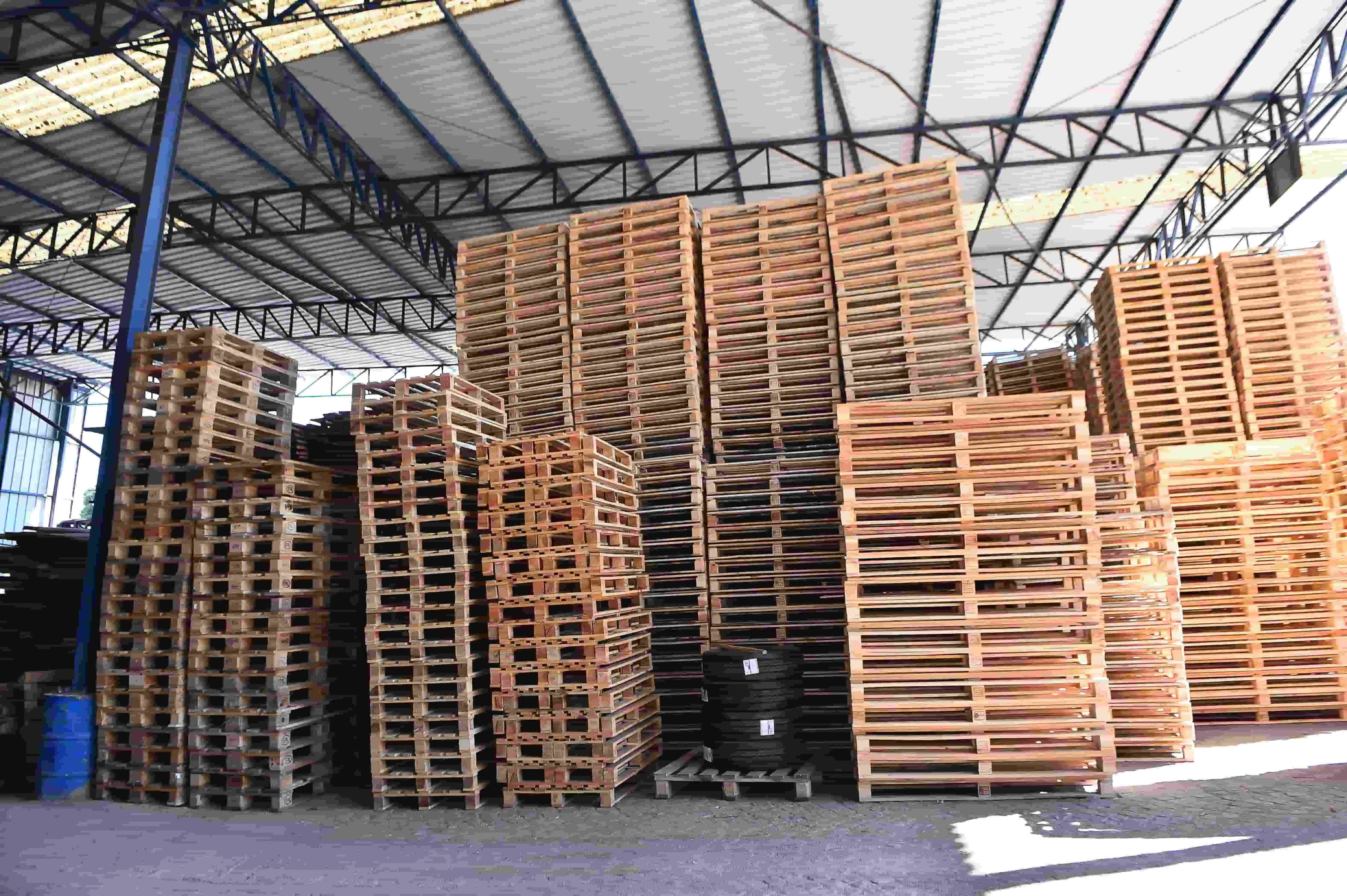 Exposição de paletes de madeira